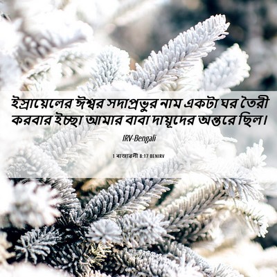 Picture 06 - 1 ৰাজাৱলী 8:17 BENIRV - ইস্রায়েলের ঈশ্বর - Bible Verse Picture