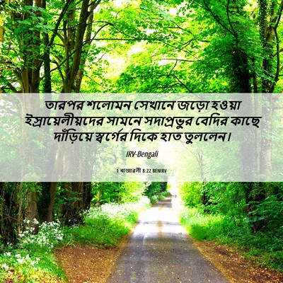 Picture 06 - 1 ৰাজাৱলী 8:22 BENIRV - তারপর শলোমন - Bible Verse Picture