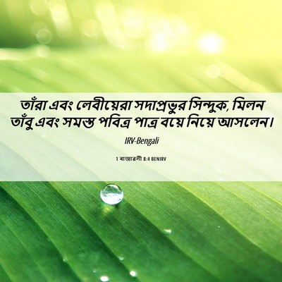 Picture 06 - 1 ৰাজাৱলী 8:4 BENIRV - তাঁরা এবং - Bible Verse Picture