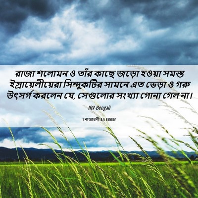 Picture 06 - 1 ৰাজাৱলী 8:5 BENIRV - রাজা শলোমন ও তাঁর - Bible Verse Picture