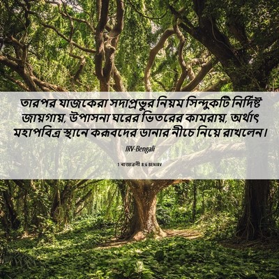 Picture 06 - 1 ৰাজাৱলী 8:6 BENIRV - তারপর যাজকেরা - Bible Verse Picture