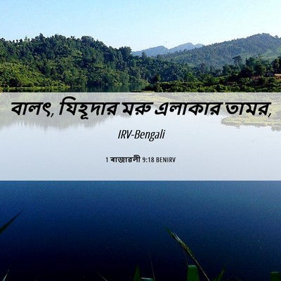 Picture 06 - 1 ৰাজাৱলী 9:18 BENIRV - বালৎ, যিহূদার মরু - Bible Verse Picture