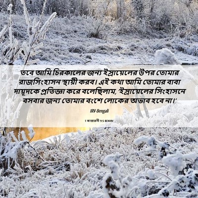 Picture 06 - 1 ৰাজাৱলী 9:5 BENIRV - তবে আমি চিরকালের - Bible Verse Picture