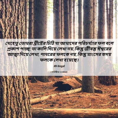 Picture 06 - 2 কৰিন্থীয়া 3:3 BENIRV - যেহেতু তোমরা - Bible Verse Picture