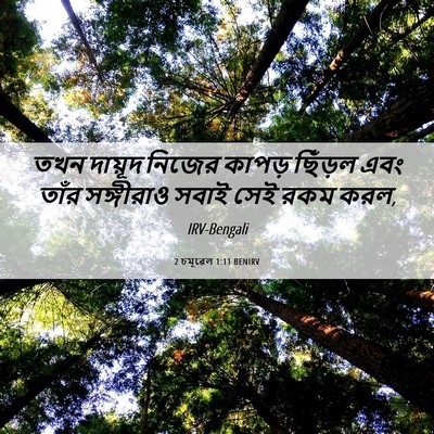 Picture 06 - 2 চমূৱেল 1:11 BENIRV - তখন দায়ূদ নিজের - Bible Verse Picture
