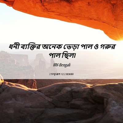 Picture 06 - 2 চমূৱেল 12:2 BENIRV - ধনী ব্যক্তির অনেক - Bible Verse Picture