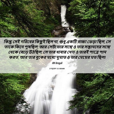 Picture 06 - 2 চমূৱেল 12:3 BENIRV - কিন্তু সেই গরিবের - Bible Verse Picture