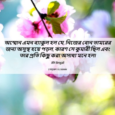 Picture 06 - 2 চমূৱেল 13:2 BENIRV - অম্মোন এমন - Bible Verse Picture