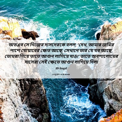 Picture 06 - 2 চমূৱেল 14:30 BENIRV - অতএব সে নিজের - Bible Verse Picture