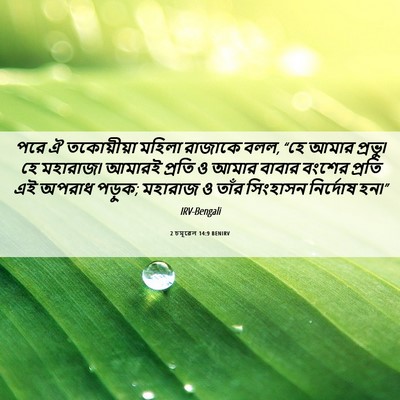 Picture 06 - 2 চমূৱেল 14:9 BENIRV - পরে ঐ তকোয়ীয়া - Bible Verse Picture