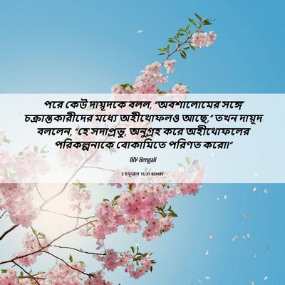 Picture 06 - 2 চমূৱেল 15:31 BENIRV - পরে কেউ দায়ূদকে - Bible Verse Picture