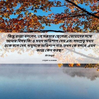 Picture 06 - 2 চমূৱেল 16:10 BENIRV - কিন্তু রাজা বললেন, - Bible Verse Picture