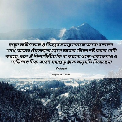 Picture 06 - 2 চমূৱেল 16:11 BENIRV - দায়ূদ অবীশয়কে ও - Bible Verse Picture