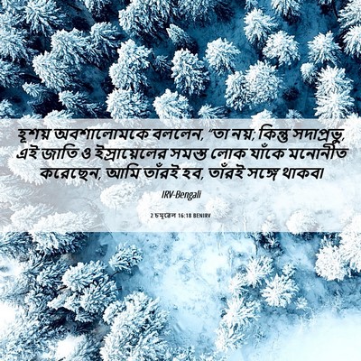 Picture 06 - 2 চমূৱেল 16:18 BENIRV - হূশয় অবশালোমকে - Bible Verse Picture