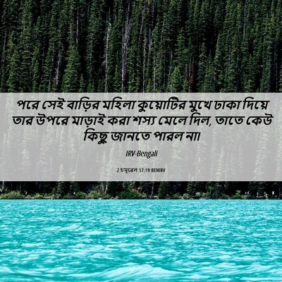Picture 06 - 2 চমূৱেল 17:19 BENIRV - পরে সেই বাড়ির - Bible Verse Picture
