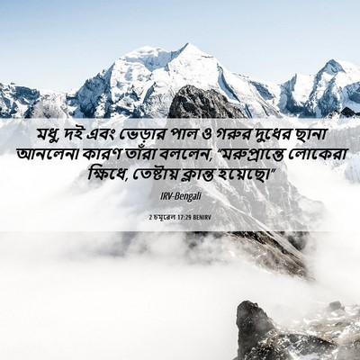 Picture 06 - 2 চমূৱেল 17:29 BENIRV - মধু, দই এবং ভেড়ার - Bible Verse Picture