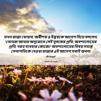 Picture 06 - 2 চমূৱেল 18:5 BENIRV - তখন রাজা যোয়াব, - Bible Verse Picture