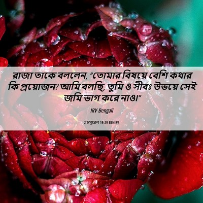 Picture 06 - 2 চমূৱেল 19:29 BENIRV - রাজা তাকে বললেন, - Bible Verse Picture