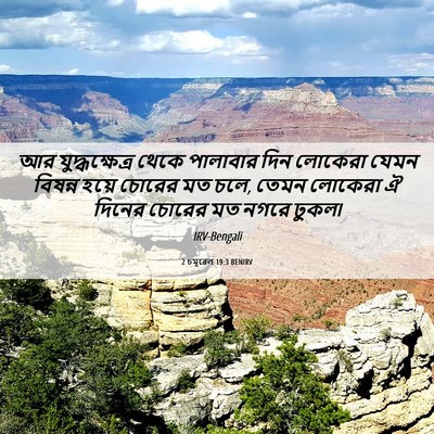 Picture 06 - 2 চমূৱেল 19:3 BENIRV - আর যুদ্ধক্ষেত্র - Bible Verse Picture