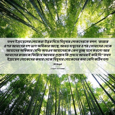 Picture 06 - 2 চমূৱেল 19:43 BENIRV - তখন ইস্রায়েলের - Bible Verse Picture