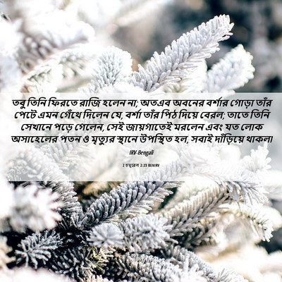 Picture 06 - 2 চমূৱেল 2:23 BENIRV - তবু তিনি ফিরতে - Bible Verse Picture