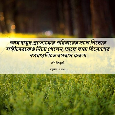 Picture 06 - 2 চমূৱেল 2:3 BENIRV - আর দায়ূদ - Bible Verse Picture