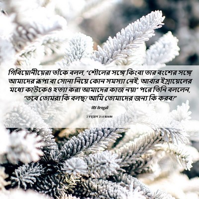 Picture 06 - 2 চমূৱেল 21:4 BENIRV - গিবিয়োনীয়েরা - Bible Verse Picture