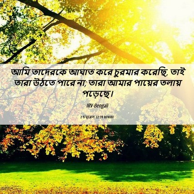 Picture 06 - 2 চমূৱেল 22:39 BENIRV - আমি তাদেরকে আঘাত - Bible Verse Picture