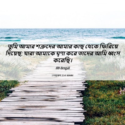 Picture 06 - 2 চমূৱেল 22:41 BENIRV - তুমি আমার - Bible Verse Picture