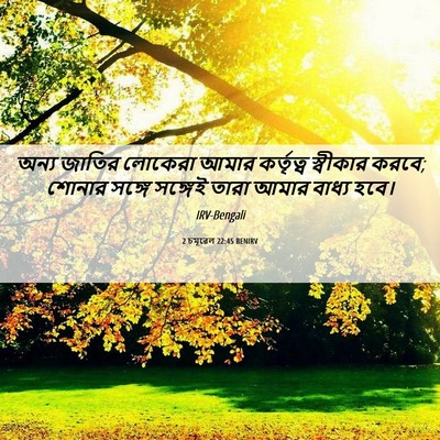 Picture 06 - 2 চমূৱেল 22:45 BENIRV - অন্য জাতির লোকেরা - Bible Verse Picture