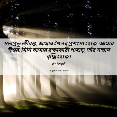 Picture 06 - 2 চমূৱেল 22:47 BENIRV - সদাপ্রভু জীবন্ত, - Bible Verse Picture