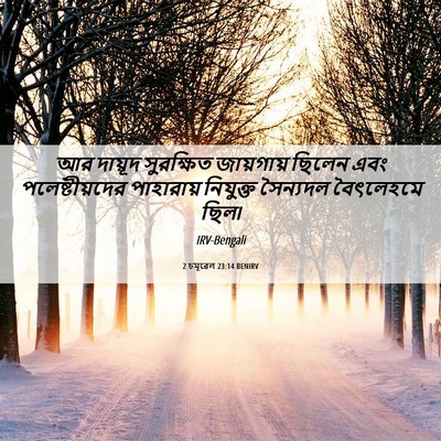 Picture 06 - 2 চমূৱেল 23:14 BENIRV - আর দায়ূদ - Bible Verse Picture