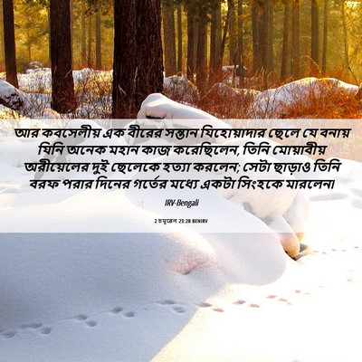 Picture 06 - 2 চমূৱেল 23:20 BENIRV - আর কবসেলীয় এক - Bible Verse Picture