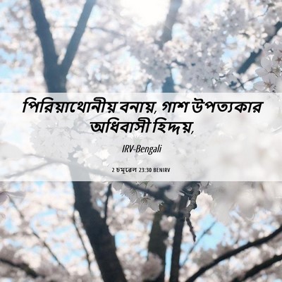 Picture 06 - 2 চমূৱেল 23:30 BENIRV - পিরিয়াথোনীয় - Bible Verse Picture