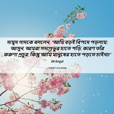 Picture 06 - 2 চমূৱেল 24:14 BENIRV - দায়ূদ গাদকে - Bible Verse Picture