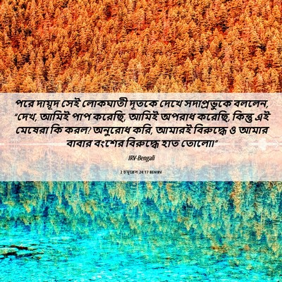 Picture 06 - 2 চমূৱেল 24:17 BENIRV - পরে দায়ূদ সেই - Bible Verse Picture