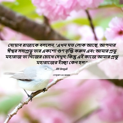 Picture 06 - 2 চমূৱেল 24:3 BENIRV - যোয়াব রাজাকে - Bible Verse Picture