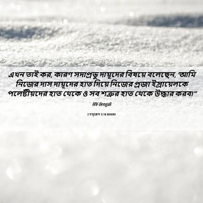 Picture 06 - 2 চমূৱেল 3:18 BENIRV - এখন তাই কর, কারণ - Bible Verse Picture