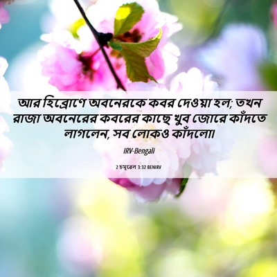 Picture 06 - 2 চমূৱেল 3:32 BENIRV - আর হিব্রোণে - Bible Verse Picture