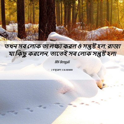 Picture 06 - 2 চমূৱেল 3:36 BENIRV - তখন সব লোক তা - Bible Verse Picture