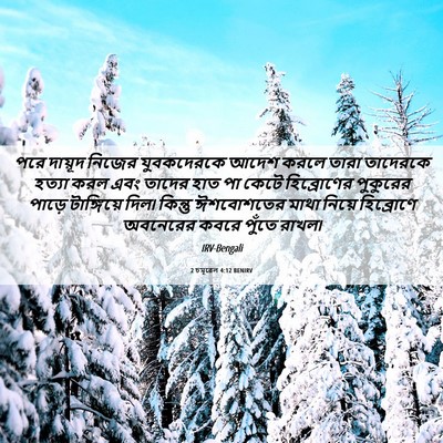 Picture 06 - 2 চমূৱেল 4:12 BENIRV - পরে দায়ূদ নিজের - Bible Verse Picture
