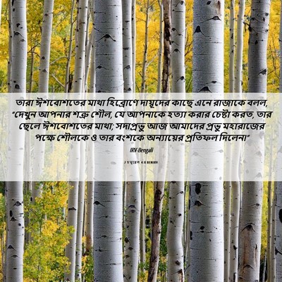 Picture 06 - 2 চমূৱেল 4:8 BENIRV - তারা ঈশবোশতের - Bible Verse Picture