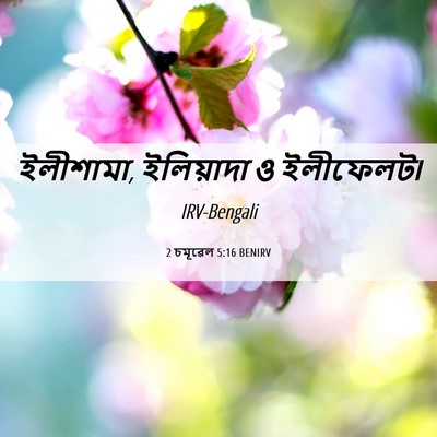 Picture 06 - 2 চমূৱেল 5:16 BENIRV - ইলীশামা, ইলিয়াদা - Bible Verse Picture
