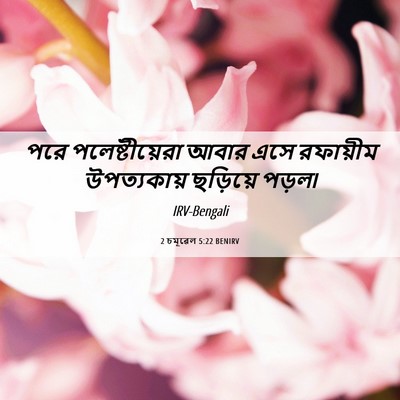 Picture 06 - 2 চমূৱেল 5:22 BENIRV - পরে পলেষ্টীয়েরা - Bible Verse Picture