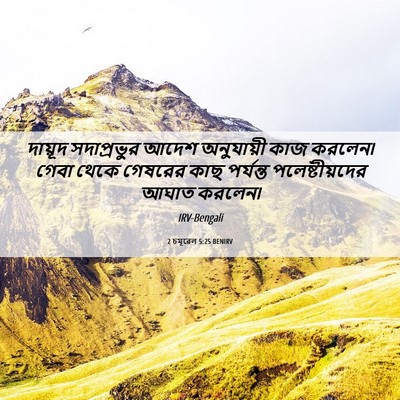 Picture 06 - 2 চমূৱেল 5:25 BENIRV - দায়ূদ সদাপ্রভুর - Bible Verse Picture