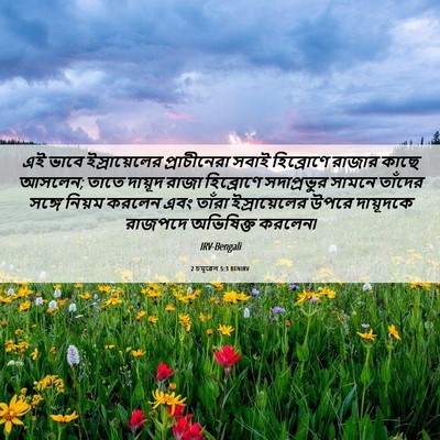 Picture 06 - 2 চমূৱেল 5:3 BENIRV - এই ভাবে - Bible Verse Picture
