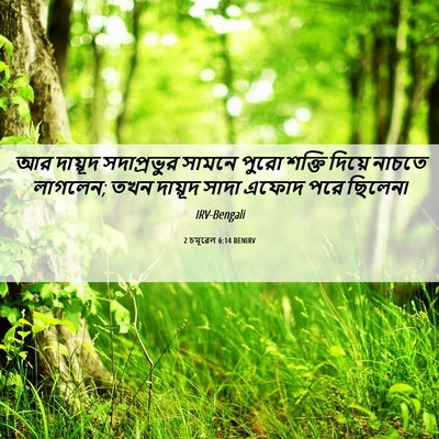 Picture 06 - 2 চমূৱেল 6:14 BENIRV - আর দায়ূদ - Bible Verse Picture