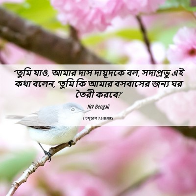 Picture 06 - 2 চমূৱেল 7:5 BENIRV - “তুমি যাও, আমার দাস - Bible Verse Picture