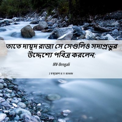 Picture 06 - 2 চমূৱেল 8:11 BENIRV - তাতে দায়ূদ রাজা - Bible Verse Picture
