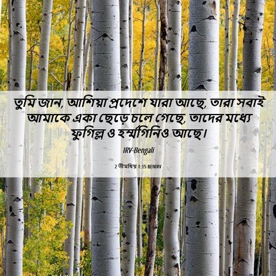 Picture 06 - 2 তীমথিয় 1:15 BENIRV - তুমি জান, আশিয়া - Bible Verse Picture